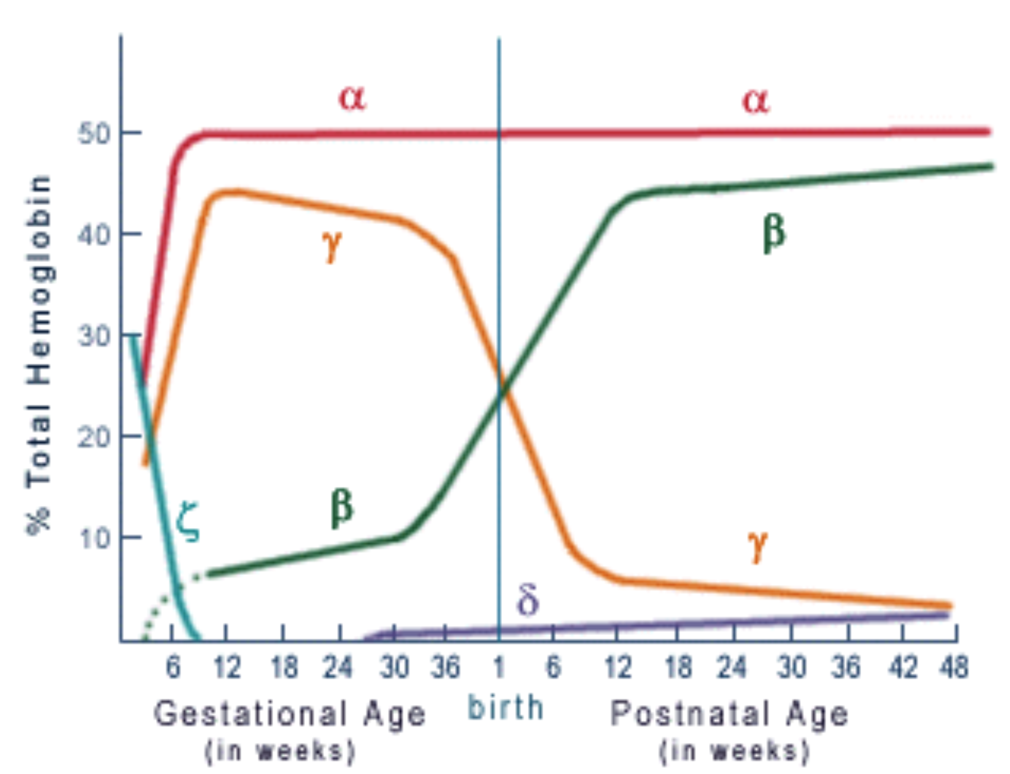 Chart of % Total Hemoglogin vs. Age